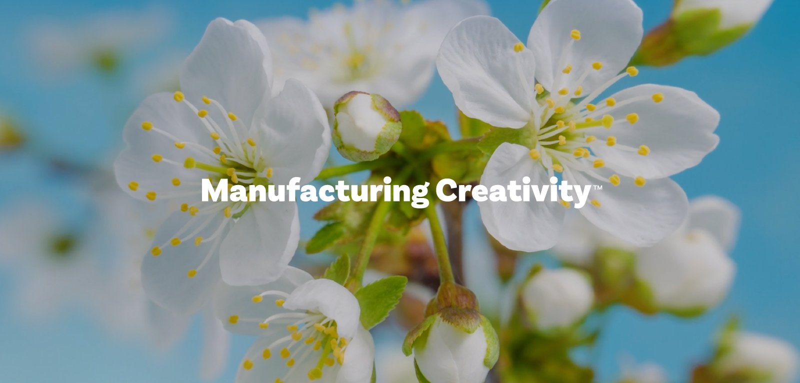Costello Creative Group Unveils New Website, Deepening Commitment to B2B Manufacturing Industries